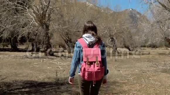 女孩旅行者带着一个粉红色的背包在山脚下的树上行走视频的预览图