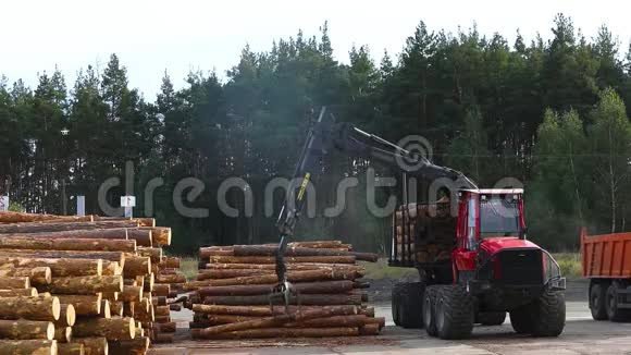 在卡车上用机械手装载原木在锯木厂锯木厂工作工作过程运输原木视频的预览图