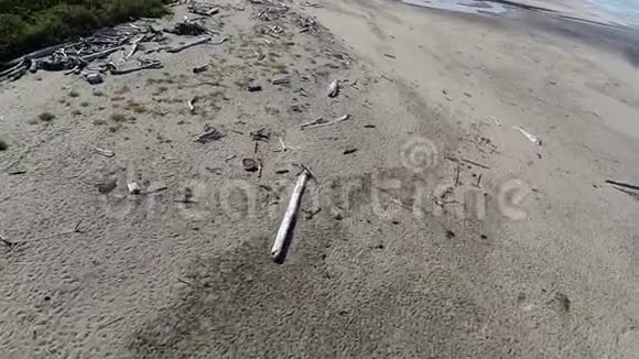在沙滩和漂流木上的镜头视频的预览图