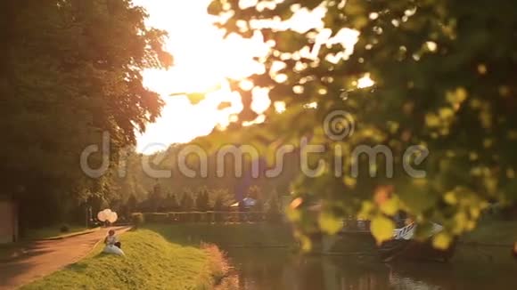 美丽的新婚夫妇气球坐在草地上在风景如画的金色秋天公园日落时间视频的预览图