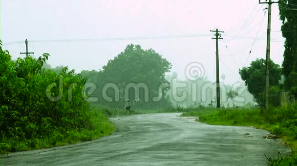 印度乡村道路雨后雾在自然背景下视频的预览图