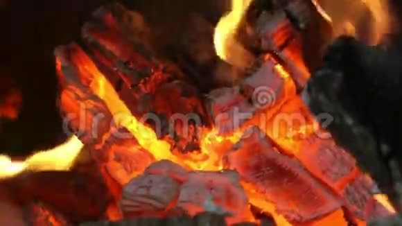 木头在燃烧视频的预览图