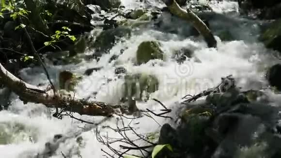 冰冷的山河与汹涌的溪流森林里汹涌的河流景色视频的预览图