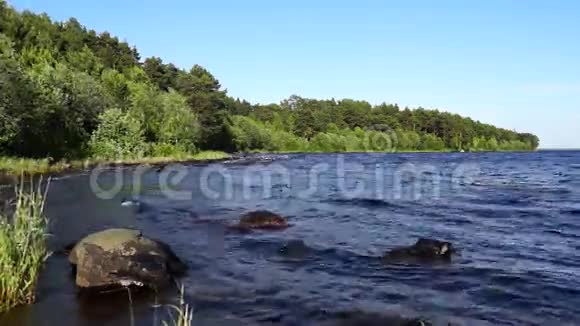 夏季多风的湖岸视频的预览图