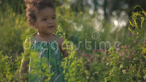 美丽的非洲裔美国儿童在绿草上的自然视频的预览图