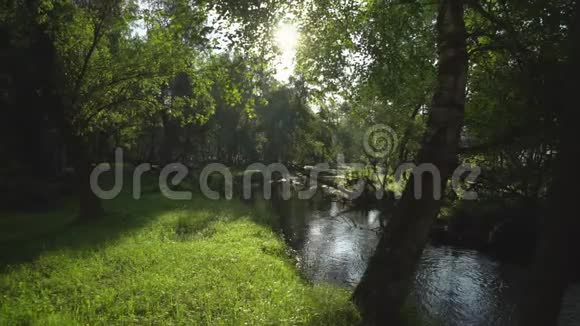 一股溪流沿着森林的景色阳光透过树木照射这是一种轻松的镜头视频的预览图