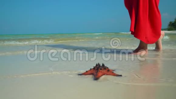 穿着红色衣服的女人带着白色的沙子在海岸上散步在热带海滩穿红色裙子的女人小矮人视频的预览图