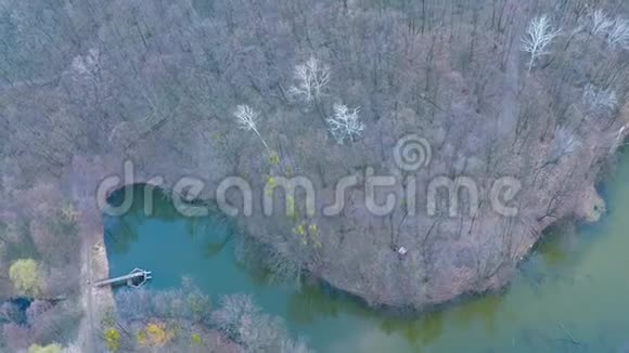 在田野附近的森林里飞过河流视频的预览图