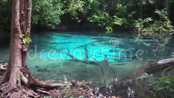 泰国Krabi丛林中的SraMorakot蓝池视频的预览图
