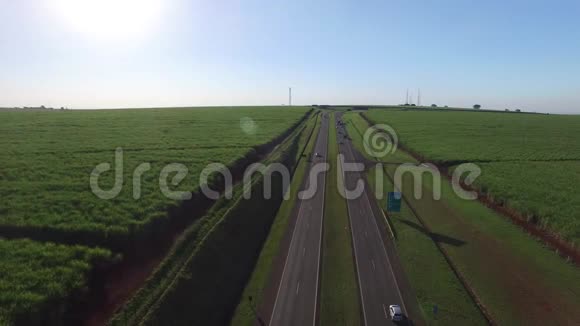 巴西里贝劳普雷托亚历山大巴尔博高速公路上的空中甘蔗田视频的预览图