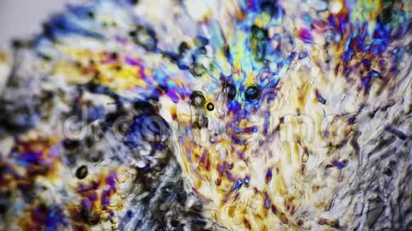 偏振光显微镜下熔化的冰晶视频的预览图