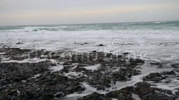 藻类在低潮时暴露海洋的波浪蚀刻机法国视频的预览图