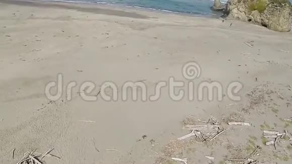 用漂流木在沙滩上打印画视频的预览图
