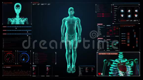 放大人体骨骼结构骨系统蓝色X光在数字仪表板显示面板视频的预览图
