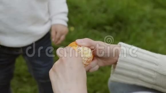 为孩子剥橘子视频的预览图