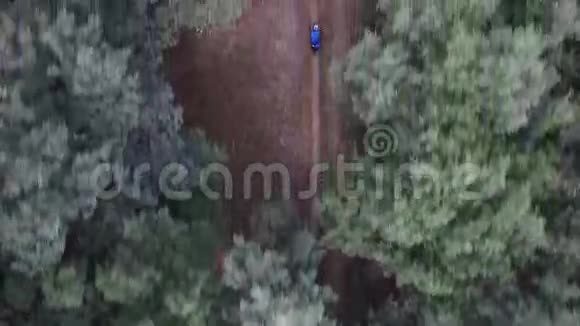 在橡树林骑自行车父子视频的预览图