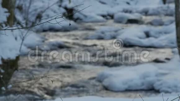 冬天一条美丽的清澈的小溪雪从树林里流过视频的预览图