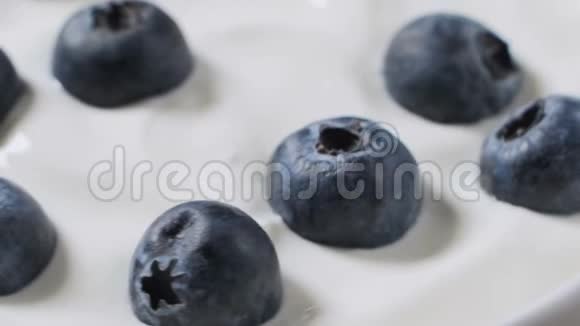 特写蓝莓在天然酸奶旋转视频的预览图