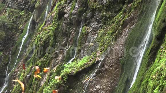 巴伐利亚的山瀑布慢影视频的预览图