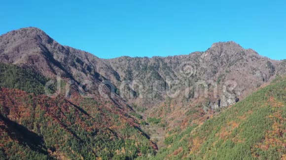 在塞科湖欣赏美丽的日本秋景视频的预览图