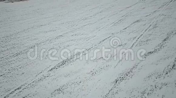 一片覆盖着白雪的冬小麦地的鸟瞰图自然背景视频的预览图
