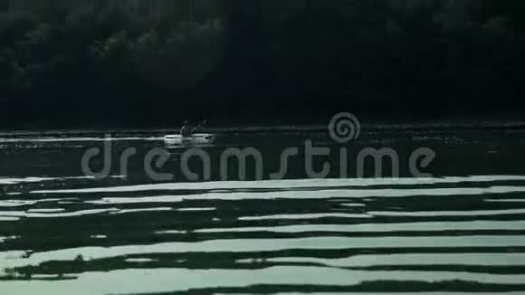 在小湖上皮划艇比赛的人视频的预览图