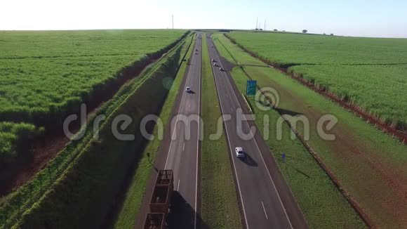 巴西里贝劳普雷托亚历山大巴尔博高速公路上的空中甘蔗田视频的预览图