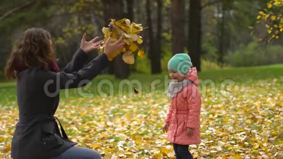 快乐的年轻妈妈和她的小女儿在秋天的公园里玩妈妈和女孩扔树叶和笑慢慢慢慢视频的预览图