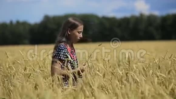 女孩在田里收集麦穗视频的预览图
