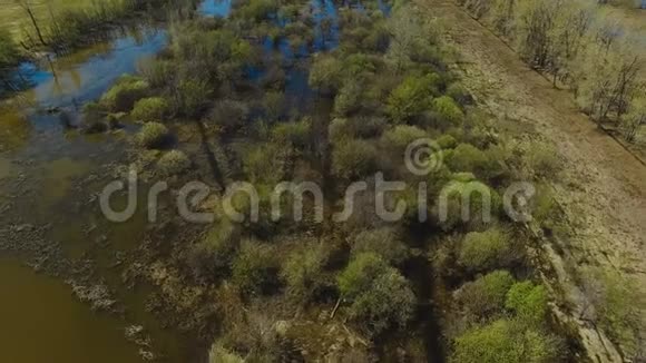 乡村小湖空中录像视频的预览图