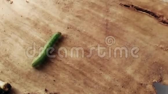 一只绿色的毛毛虫在木地上行走视频的预览图