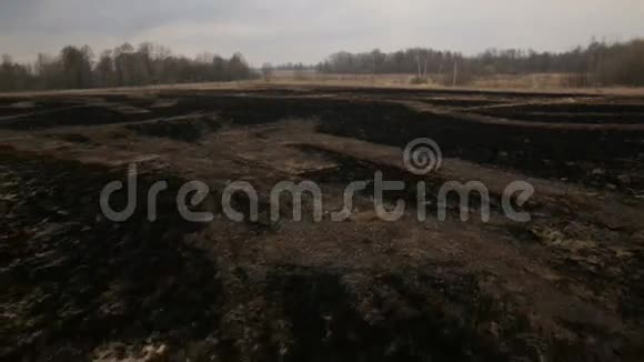沼泽的农田和烧焦的干草鸟瞰图视频的预览图