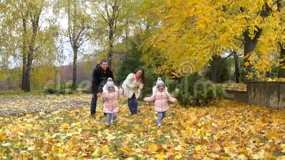 秋天一家人带着黄叶在公园玩耍视频的预览图