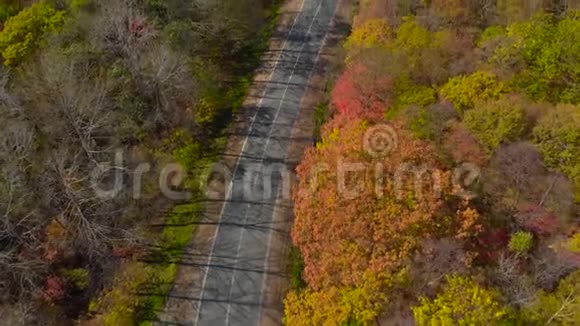 秋天的概念空中拍摄的一条小山之间的道路道路周围有许多黄色和红色的树木视频的预览图