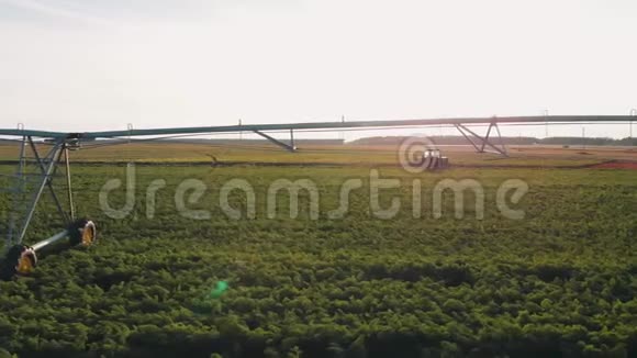 工业农业4K空中视频镜头夏季农田灌溉无人机射击夏季黎明农业视频的预览图