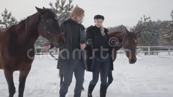冬天一对夫妇带着马在乡间农场散步男人和女人牵马视频的预览图