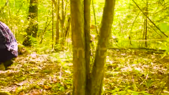 女生态学家采集森林中土壤的样本视频的预览图