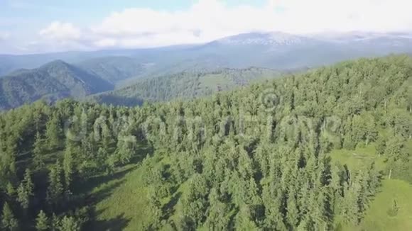 在阳光明媚的日子里美丽的山谷景观如画剪辑山顶森林景观视频的预览图