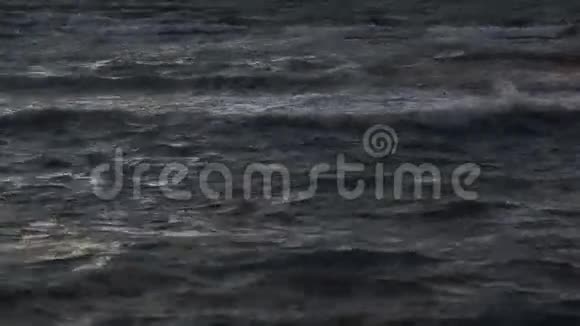 波浪状的海带波浪峰视频的预览图