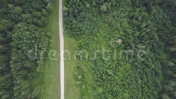 穿越森林和岩层的道路剪辑阳光明媚的一天森林附近道路的俯视图视频的预览图