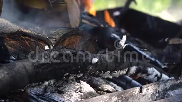 户外露营在烤架上煮肉视频的预览图