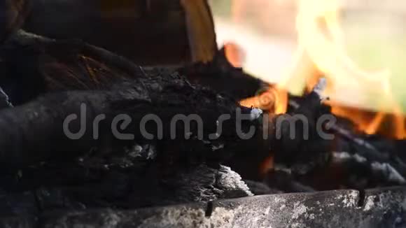 户外露营在烤架上煮肉视频的预览图