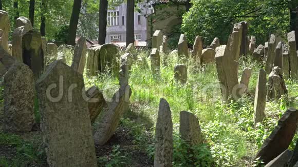 布拉格的犹太人墓地视频的预览图