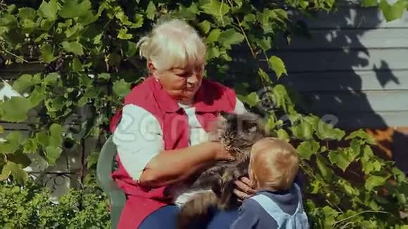 祖母和她的小孙子在花园里抚摸一只猫视频的预览图