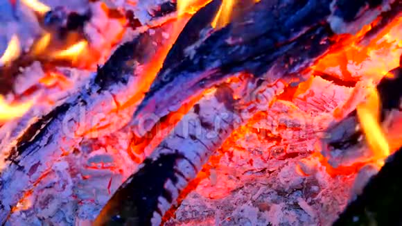 燃烧硬木蓝火的细节灼热的空气中燃烧着树林小火焰蒸馏气体跳舞和荧光视频的预览图