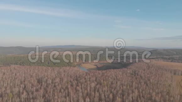 夏季穿过田野和森林的乡村道路的空中俯视剪辑带道路的林区俯视图视频的预览图