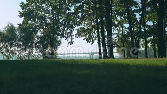 在夏季公园跑步的年轻运动员在背景中被视为离开汽车的桥梁视频的预览图