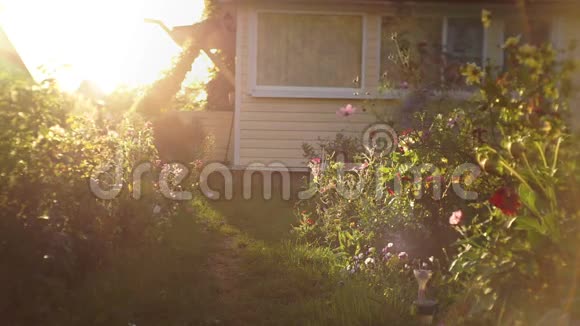 日落时分一位年轻的母亲和一个年轻的儿子离开了房子在花园里散步视频的预览图