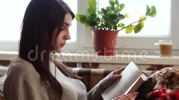 窗前的女孩在看书视频的预览图