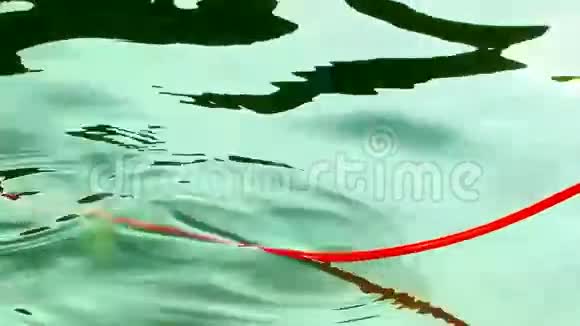 红线被放入水中视频的预览图